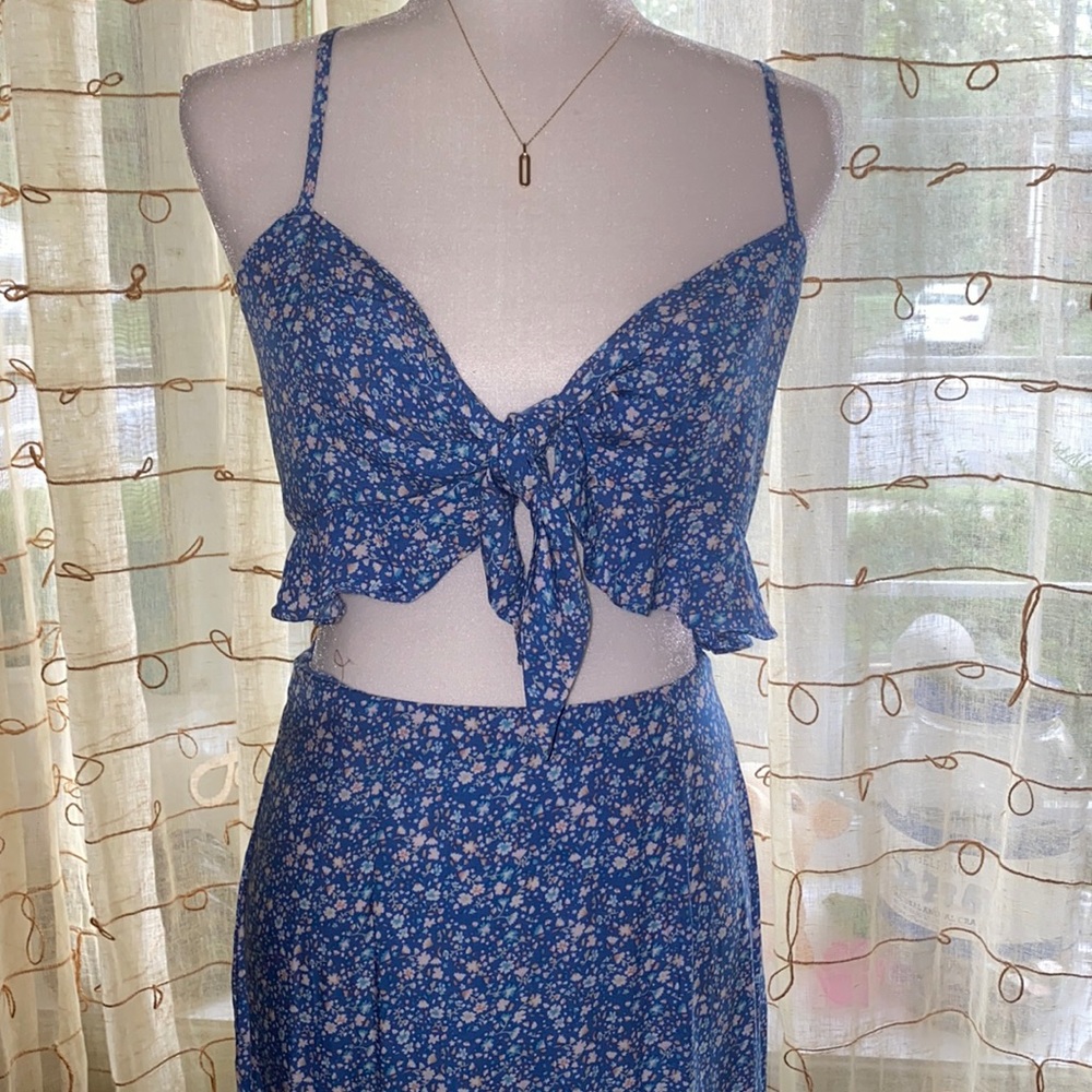 Beautiful Blue Flowering Set